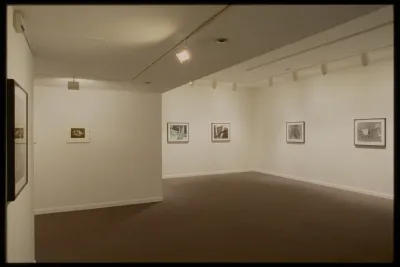 Six small framed photos of objects from nature with abstract backgrounds hang evenly spaced along adjacent gallery walls. 