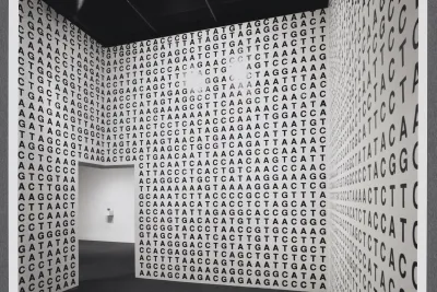A room within the gallery where the walls are covered from floor to ceiling with letters meant to create a genetic code. 