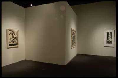 Three large framed woodblock prints of a tree and other abstract nature images hang on three different gallery walls. 