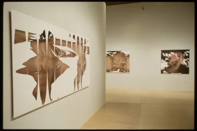 3 large works in gallery - all are light brown with white background.