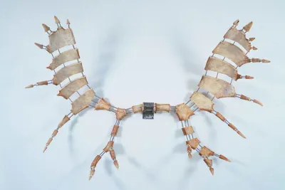 Moose antlers mounted to white wall with stainless steel