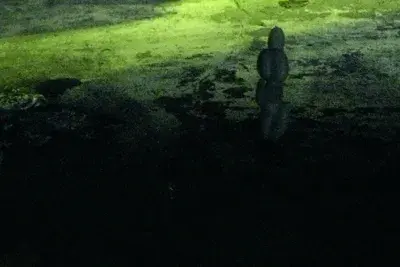 A night photo all in green with an unidentified object in the center.