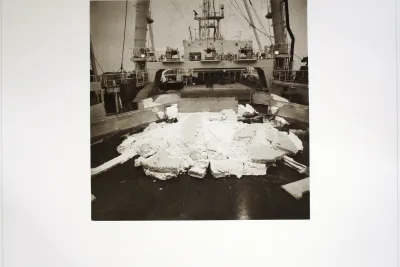 A photo features a boat with a white collapsed structure on the deck.