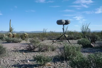 2 gray windscreen-covered mics mounted on a stand rest amidst low bushes and cactus in a desert landscape under a blue sky.