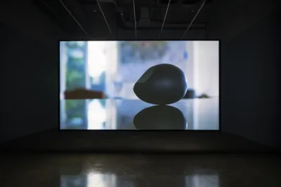 Video of black ovoid &amp; its reflection, with blurry blue cast background projected on screen in dark room.