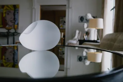 Carissa Rodriguez's The Maid is pictured on a reflective surface in a home.