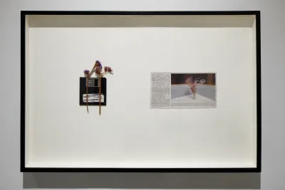 An artwork by Rose Salane features dried flowers on a memory card and a newspaper clipping.