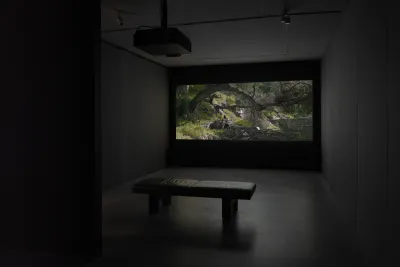 A dimly lit gallery space features a film still with greenery. The gallery space also includes a projector and a soft bench.