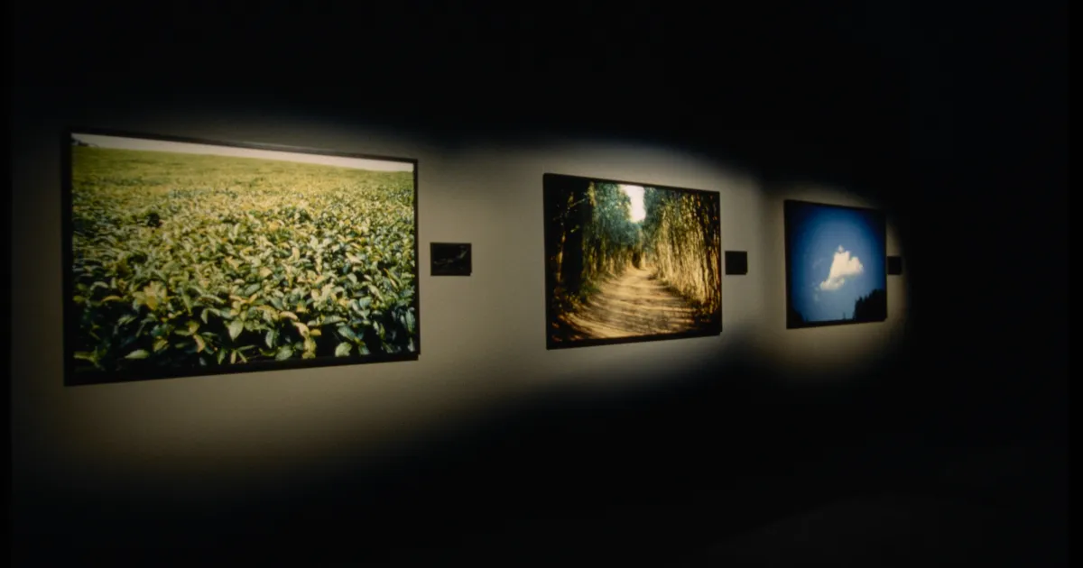 Alfredo Jaar Lament of the Images MIT List Visual Arts Center