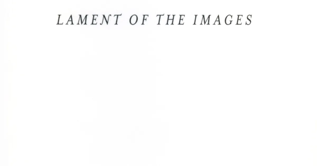 Alfredo Jaar Lament of the Images MIT List Visual Arts Center