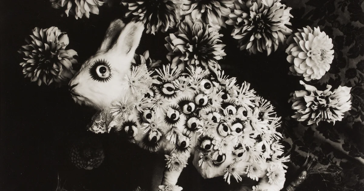 Rabbit and Eyes, 2015 | MIT List Visual Arts Center