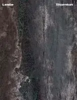 Textured grey background that resembles the pattern of snake skin with &quot;Leslie&quot; written in the top left corner and &quot;Thornton&quot; written in the top right.