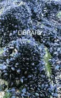 Book cover for List Projects: Lina Viste Grønli titled Library featuring a photograph of hundreds of mussels on rocks.
