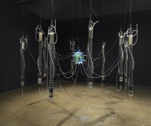 Dark gallery with a water processing system suspended from the ceiling with eleven chambers connected through various tubes and wires. At the center, a glass sphere contains livings plants, small fish, and processed wastewater.