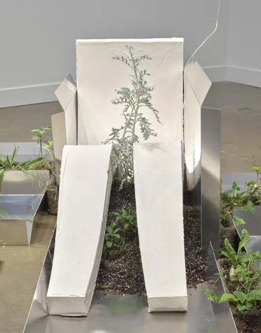 A gallery at the MIT List Visual Arts Center features sculptures consisting of white plaster slumps, aluminum sheets, weeds.