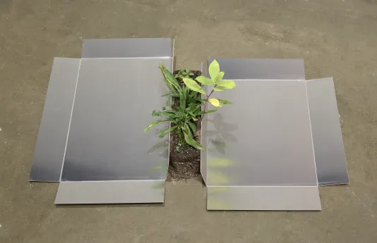Close up of aluminum panels on the floor with weeds growing in between them.
