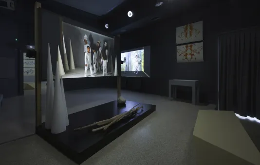 Dark room with two video installations, two paintings of bees on the wall, and cone like shapes in front of one of the videos.