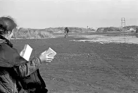 A woman stands on a beach facing the tide.