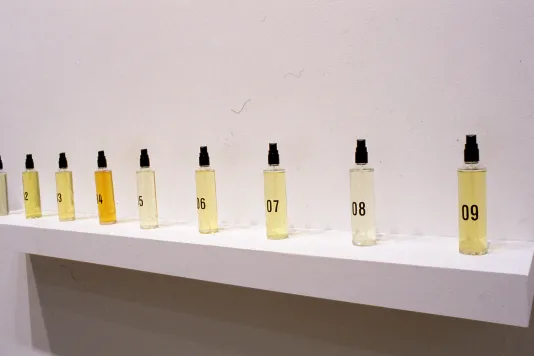 Clear perfume bottles lining a white wall with black caps.