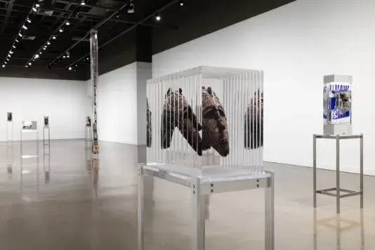 A sculpture of a wooden head in side a block of clear resin on a metal stand with other sculptures in the background.
