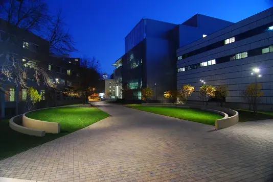 A nighttime photograph of a stone courtyard with rounded benches on both sides surrounded by grass.