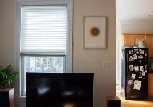 A framed print on a white wall with a tv in the foreground and a kitchen fridge in the background.