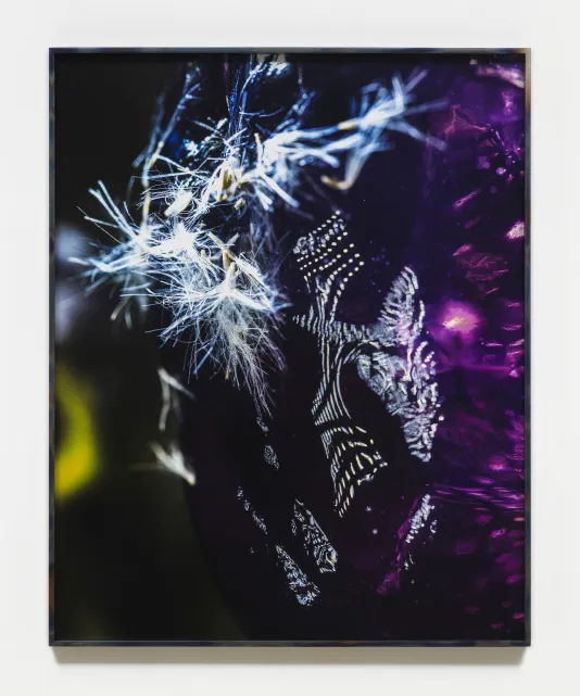 Photograph featuring bright lights, feathers, and pink neon light coming from the right side.