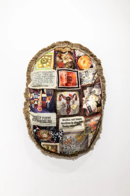 Shaped quilted textile sculpture with images of syringes arranged in decorative compositions with Found objects and squares of printed text. The sculpture is trimmed with a heavy shaggy brown fringe.
