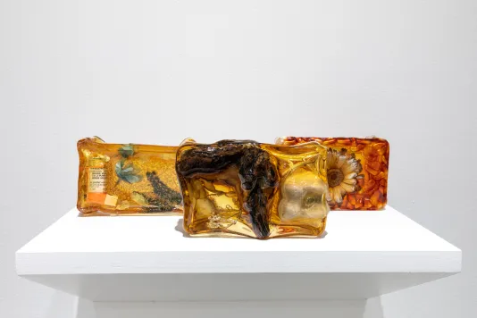 Three amber like bricks of desiccated gelatin sit on a white shelf. They contain an inhaler, blue flowers, driftwood, stones, red flowers and red gelatin capsules.