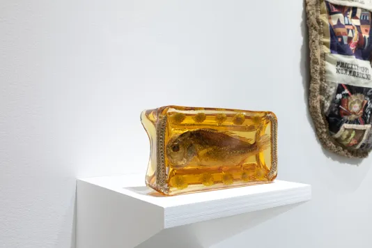 An amber like rectangle of dried gelatin encapsulates a whole fish, bordered by metal chains and hardware on a white shelf with a fabric work to the right on a the wall in the background.