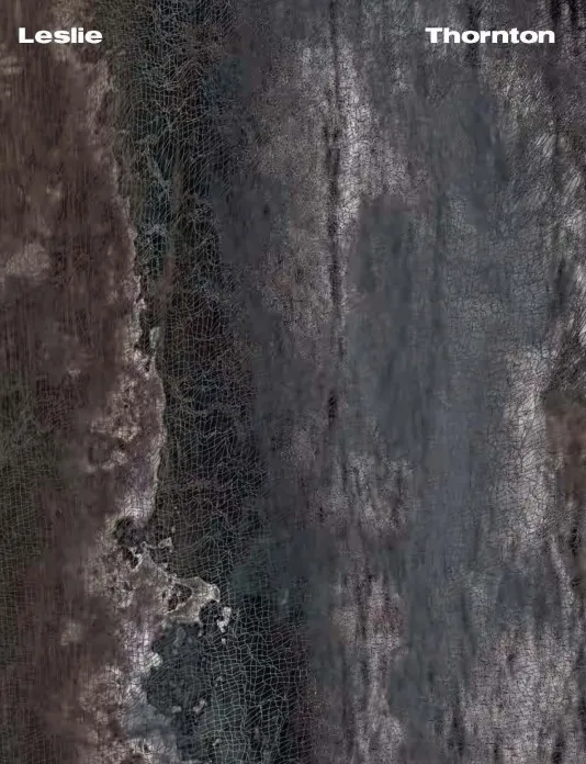 Textured grey background that resembles the pattern of snake skin with &quot;Leslie&quot; written in the top left corner and &quot;Thornton&quot; written in the top right.