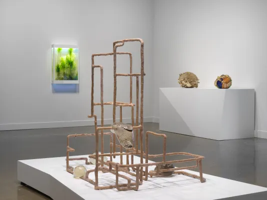 Installation view of a blush toned sculpture with resin-coated tube-like shapes that form rectangles and intersect with one another. Four glass blob-shaped sculptures hang along the tubing.