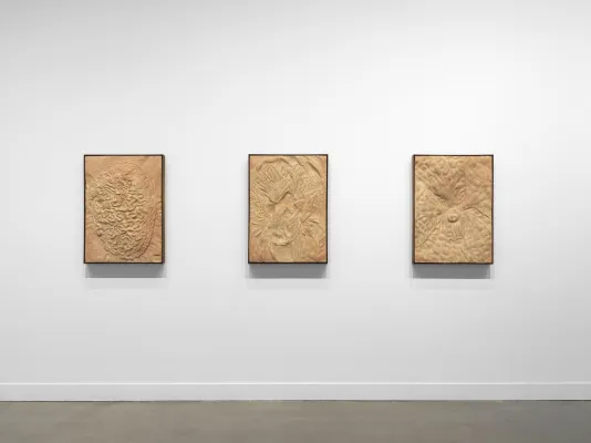 Three light pink and cream-colored relief sculptures hung in a row, each with a rough textures surface and encased by rectangular steel frame. 