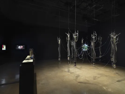 : In a dark room, a large hanging sculpture made of glass, algae, and water hung from above that resembles a spider, across from a table lit to display scientific documents. Adjacent is a two-channel video.