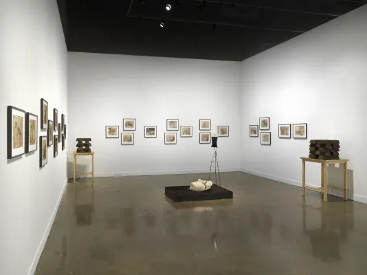 Soil ingots stacked on light wooden tables frame the gallery with associated drawings hung in clusters. A box filled with soil and a large, crumbly death-mask like face centers the gallery, a connected IV bag drips a dark brown liquid onto its eye.