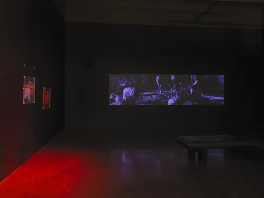 Two Plexiglas panels with engraved, overlapping ovals are bathed in red light and suspended to the left, adjacent to a panoramic video of wolves in a deep purple tint. 