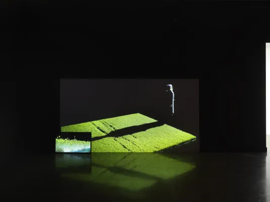 Documentation of performance work. The artist, a blonde-haired figure stands in front of a rectangular bed of live cress, her shadow casting a long silhouette of her figure onto the plants. A smaller screen in the bottom left details the cress’ reaction. 