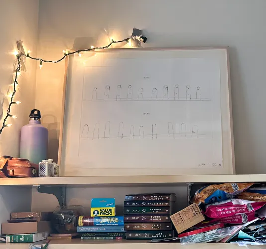A framed artwork is leaning against the wall on a wooden bookshelf to the right of a string of white Christmas lights. A second bookshelf underneath is packed with miscellaneous school supplies.