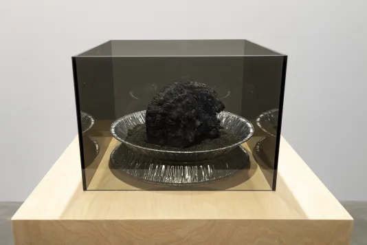 A smoke-grey transparent Plexiglas box with the top open contains the by-product of an exothermic reaction. The by-product is a solid black carbon form that has a serpent-like structure and sits inside an aluminum pie pan with black sand. The box is sitting on a tan wooden pedestal.