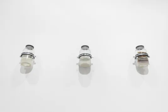 Three glass jars with plastic black lids are mounted onto a white wall. Reclaimed silver from expired photographic film and sodium hypochlorite can be seen inside the jars, viewed at an angle from below.