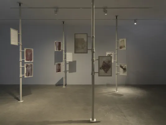 Four metal poles extend from floor to ceiling in a gallery. Two or three framed works on paper with images and text are attached to each one. Some are drawings of buildings and other objects; others are cameraless photographs showing outlines of plants. The frames appear to be able to rotate around the poles.