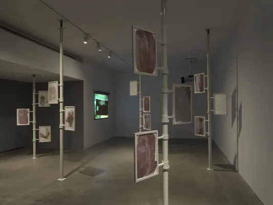 Five metal poles extend from floor to ceiling, each with three framed works of paper attached. The two drawings closest to the camera show the pale impression of plants against mauve backgrounds, produced through cameraless photography. In the background, a film is projected onto the wall; the frame shown is green and is layered with a second smaller image with a sprocket hole.