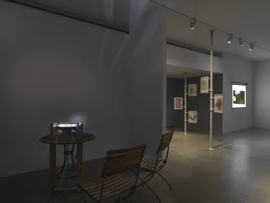List Projects 28: Sophie Friedman-Pappas and TJ Shin | MIT List Visual Arts  Center