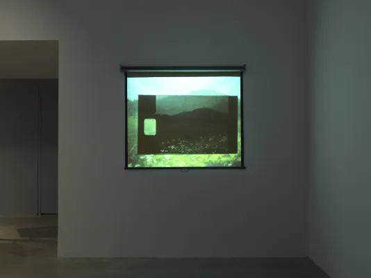 A layered film is projected onto a small pull-down screen on a wall. The projected image is overlaid with another smaller image with a sprocket hole, creating an effect of opacity and doubling. Both images appear to depict a lush landscape with greenery in the foreground and the outline of a mountain in the background.
