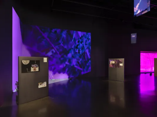 In a dark room, saturated purple footage of plants is projected onto a corner. In front, freestanding metal panels have smaller rectangles of images and text mounted on them. A purple tinted window glows in the background on the right. Banners containing saturated, inverted images of figures and plants hang from the ceiling.