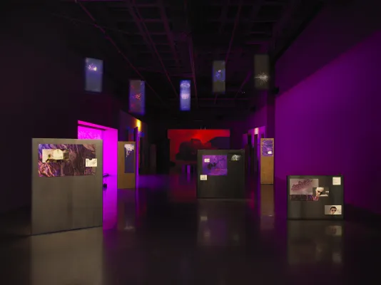 A dark room with purple walls is occupied by video projections and illuminated artworks on the floor and ceiling, creating an effect like overlapping windows on a computer screen. A purple glow comes from a tinted window on the left side. Freestanding panels are scattered throughout the room, each with colorful abstractions and other images mounted to them. Blue banners with abstracted plant designs hang from the ceiling and a red video projection, showing a person lying on their back, glows on the far wall