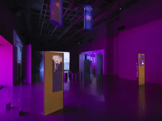 Freestanding metal panels are scattered across a dark gallery, with drawings and saturated abstract images mounted to them. Interspersed with the panels are dried thistle plants stuck into concrete bricks. Video projections onto uneven panels are visible in the background.