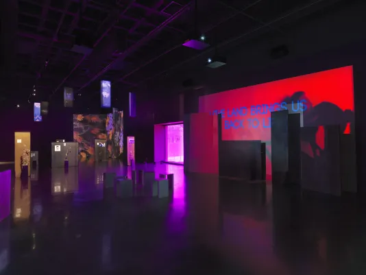 In the foreground on the right, a saturated red video is projected onto an uneven surface of overlapping rectangular panels. The video depicts a person in movement with text overlaid that reads “the land brings us back to life.” The left side of the image shows more distant artworks scattered throughout the room: freestanding panels with images mounted on them, dried thistle plants, hanging banners. Footage of orange and yellow flowers is projected onto the back corner.