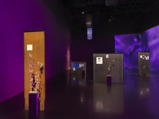 In the foreground to the left, a freestanding metal panel with a rusty brown surface has a small square of text mounted on it. In front of the panel, dried thistle plants sprout from the top of a stack of concrete bricks. More panels, thistle, and a purple video projection are visible in the background.