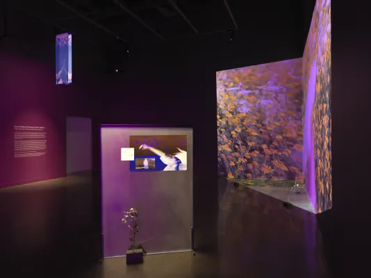 In the foreground, a rectangular metal panel has images affixed to its surface, including a photograph of a figure moving their arm in inverted tones. A small stack of bricks with a thistle growing out of it sits in front of the panel. Footage of yellow flowers is projected onto the back right corner of the room. In the top left corner, a blue banner hangs from the ceiling.
